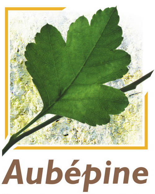 Logo Aubepine partenaire de BOOM