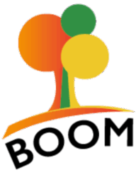 logo de l'application BOOM