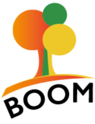 logo de l'application BOOM
