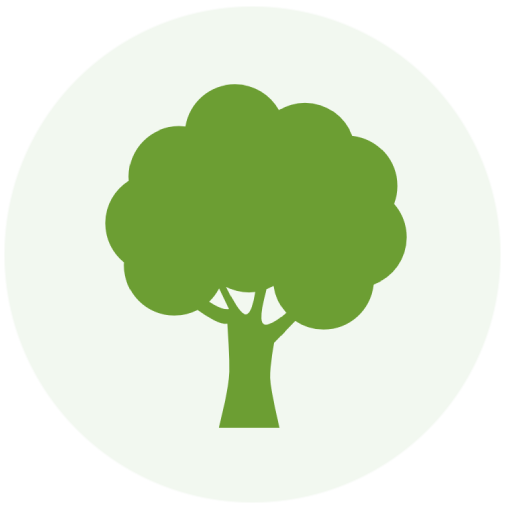 arbre et paysage
