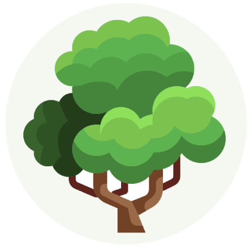 Terrain arbre