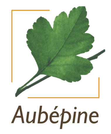Aubépine - expert de l'arbre